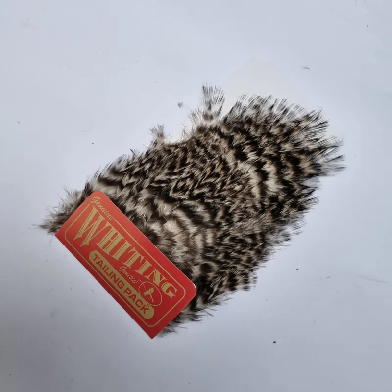 Whiting Coq de Leon Tailing pack in Grizzly-1